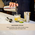 Heavy Stainless Steel Cocktail Shaker Set 