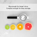 Big Citrus Juicer