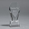 Optic Fountain Trophy, 8.25