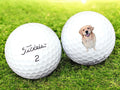 Custom Printed Pet Golf Balls