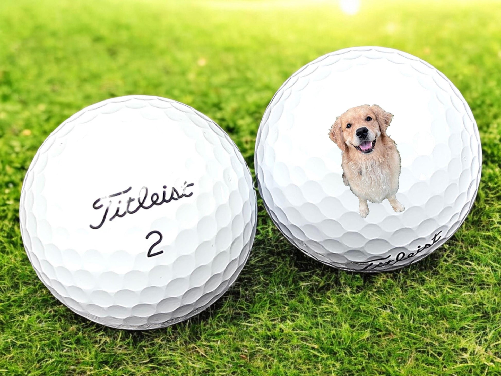 Custom Printed Pet Golf Balls