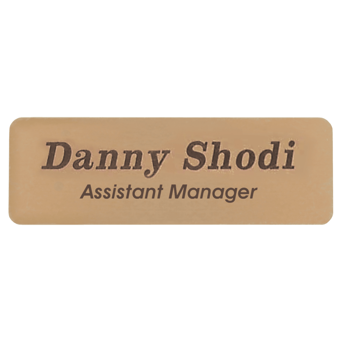 3" x 1" Gold Brass Name Badge Plate