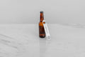 Polished Bar Blade Bottle Opener Stainless Steel 