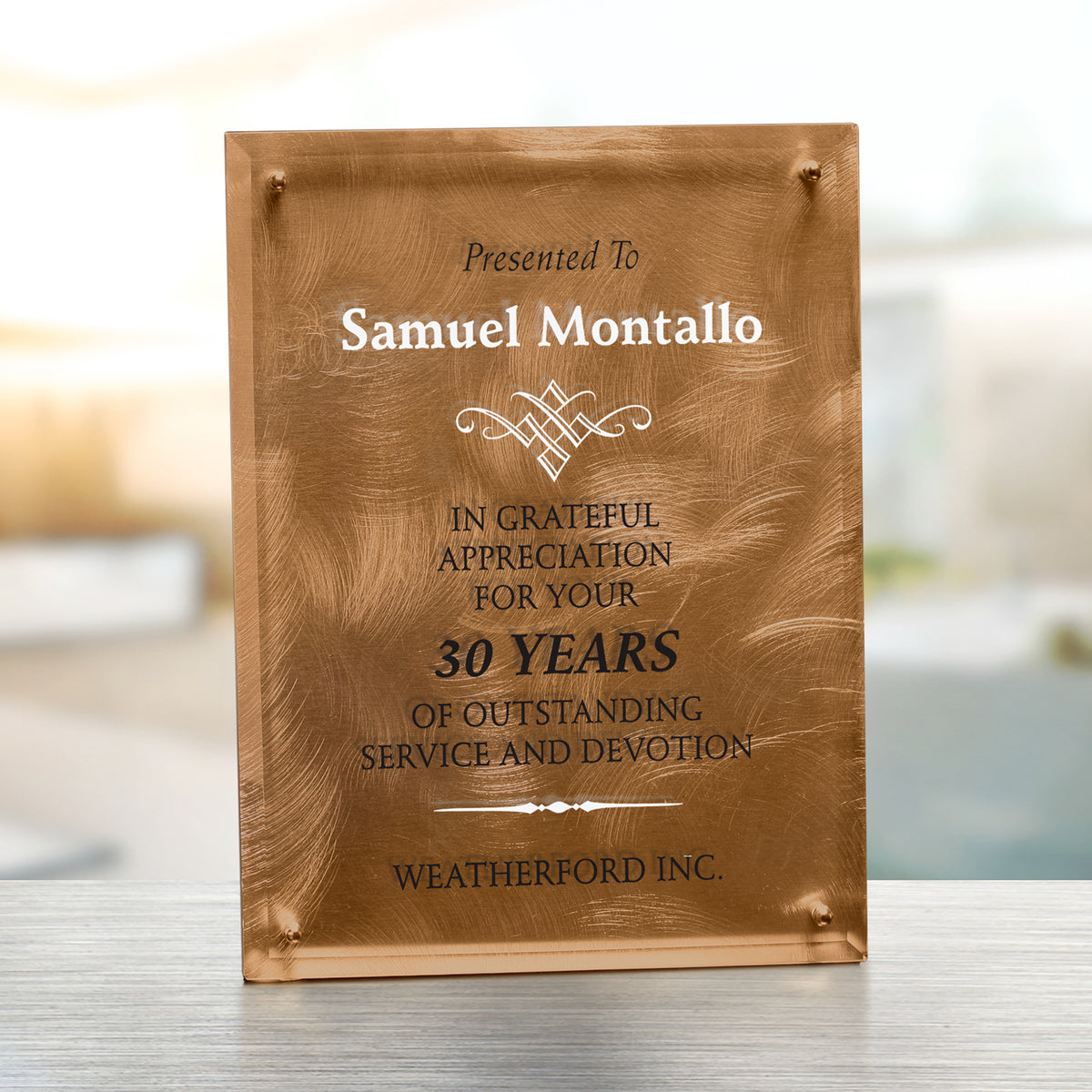Bronze Alloy Plaque 9" x 12"; sample personalization shown