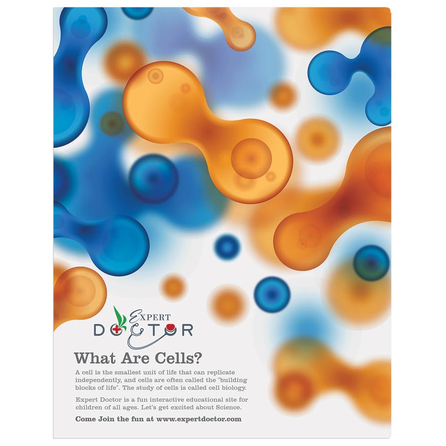 White 11" x 14" Semi-Gloss ChromaLuxe Aluminum Photo Panel