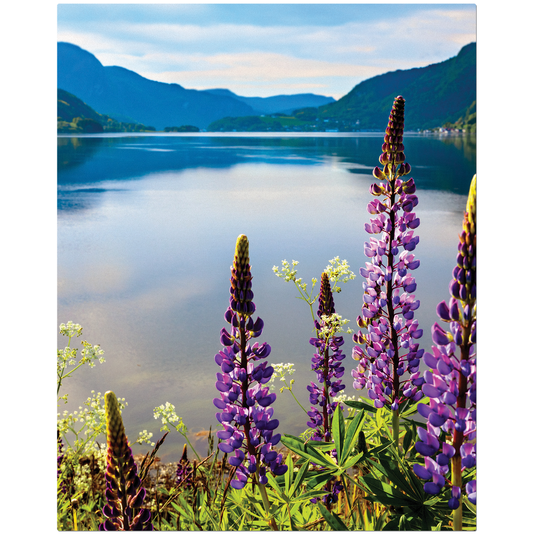 8" x 10" White ChromaLuxe Textured Aluminum Photo Panel