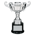 Silver 8 1/2