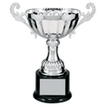 Silver 2 9 3/4