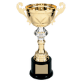 Gold 10