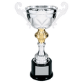 Silver 11 1/2