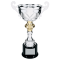 Silver 13