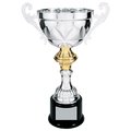 Silver 14 1/2