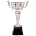 Silver 2 13
