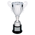 Silver 2 8 3/4