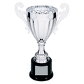 Silver 9 3/4