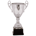 Silver 14
