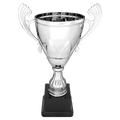 Silver 11
