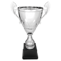 Silver 13