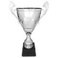 Silver 15