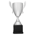 Silver Completed Metal Cup Trophy on Black Royal 2 22