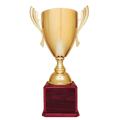 Gold Completed Metal Cup Trophy on Rosewood Royal 2 24 3/4