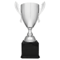 Silver Completed Metal Cup Trophy on Black Royal 2 24 3/4