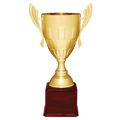 Gold Completed Metal Cup Trophy on Rosewood Royal 22