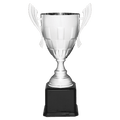 Silver Completed Metal Cup Trophy on Black Royal 22