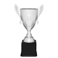 Silver Completed Metal Cup Trophy on Black Royal 24 3/4