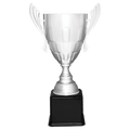 Silver Completed Metal Cup Trophy on Black Royal 26 1/2