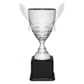 Silver Completed Metal Cup Trophy on Black Royal 21