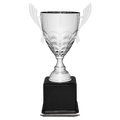 Silver Completed Metal Cup Trophy on Black Royal 23 1/2