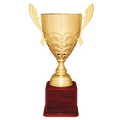 Gold Completed Metal Cup Trophy on Rosewood Royal 25 1/4