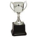Silver 6 3/4