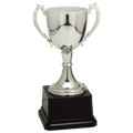 Silver 8 3/4