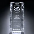 Capricorn Global Award 10
