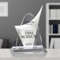 Discovery Award 11-3/4