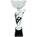Silver 15
