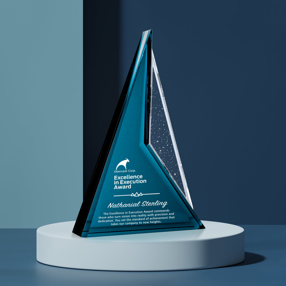 Endurance Award 8-1/2"; sample personalization shown