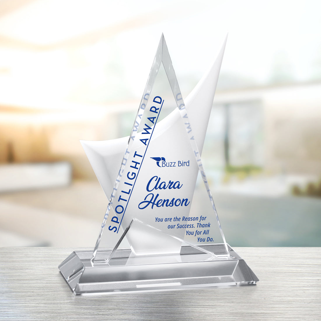 Enterprise Award 8-1/2"; sample personalization shown