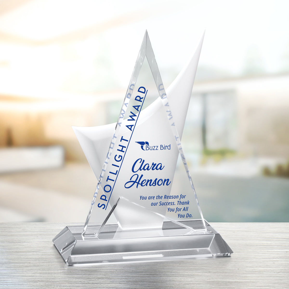 Enterprise Award 8-1/2"; sample personalization shown
