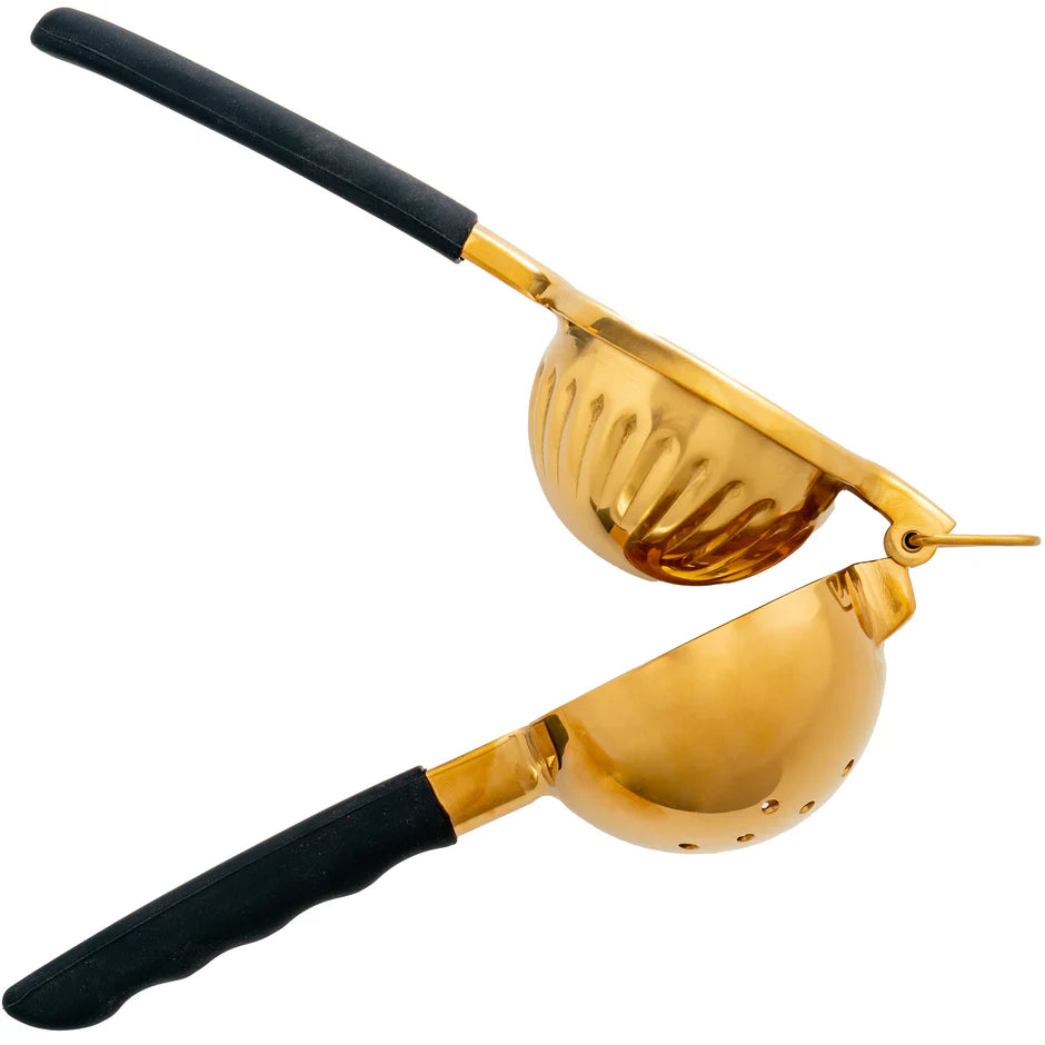 Shiny Gold Citrus Juicer