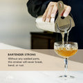 Hawthorne cocktail strainer 