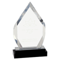 Silver 8