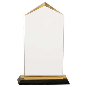 Gold 3 1/2" x 7 1/2" Jewel Impress Acrylic