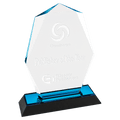 Octagon Point Impress Acrylic Award
