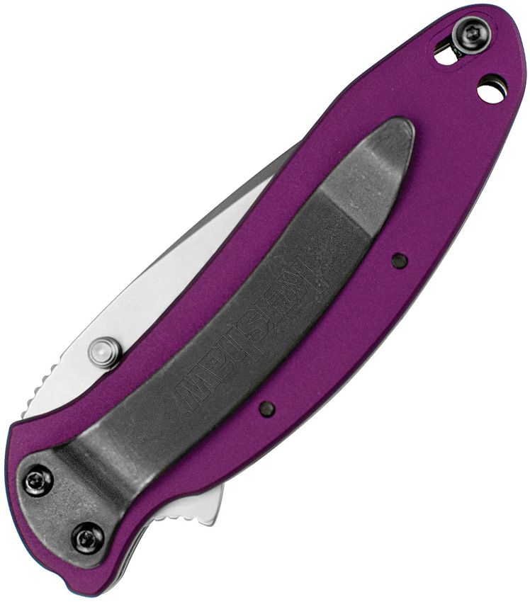 Scallion Linerlock A/O Purple