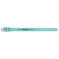 Teal Small 15