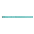 Teal Large 23