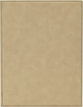 Light Brown 8